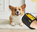 Luva Removedora de Pelos Pet 2 em 1 – Limpeza e Massagem para Cães e Gatos